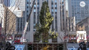 Despite criticism on Twitter, the Rockefeller Center Christmas Tree is trying its best this year.