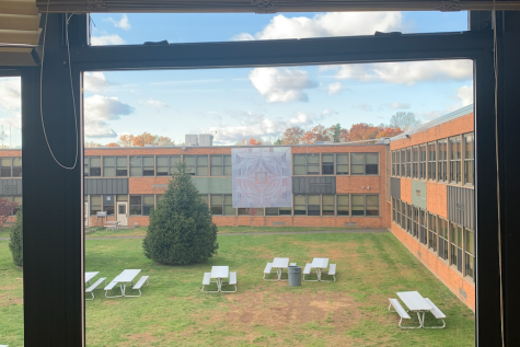 Decals on classroom windows will help birds avoid flying into them.