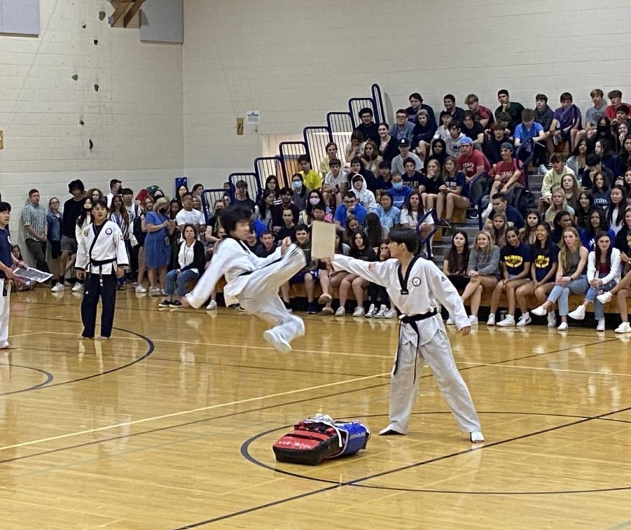 “My favorite part of diversity day is definitely the performance that South Korea does. I enjoy performing in it and it represents parts of our culture really well. - senior Sam Yi, about the tae kwon do performance