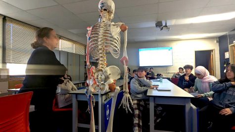 Sports Medicine students learn about anatomy 