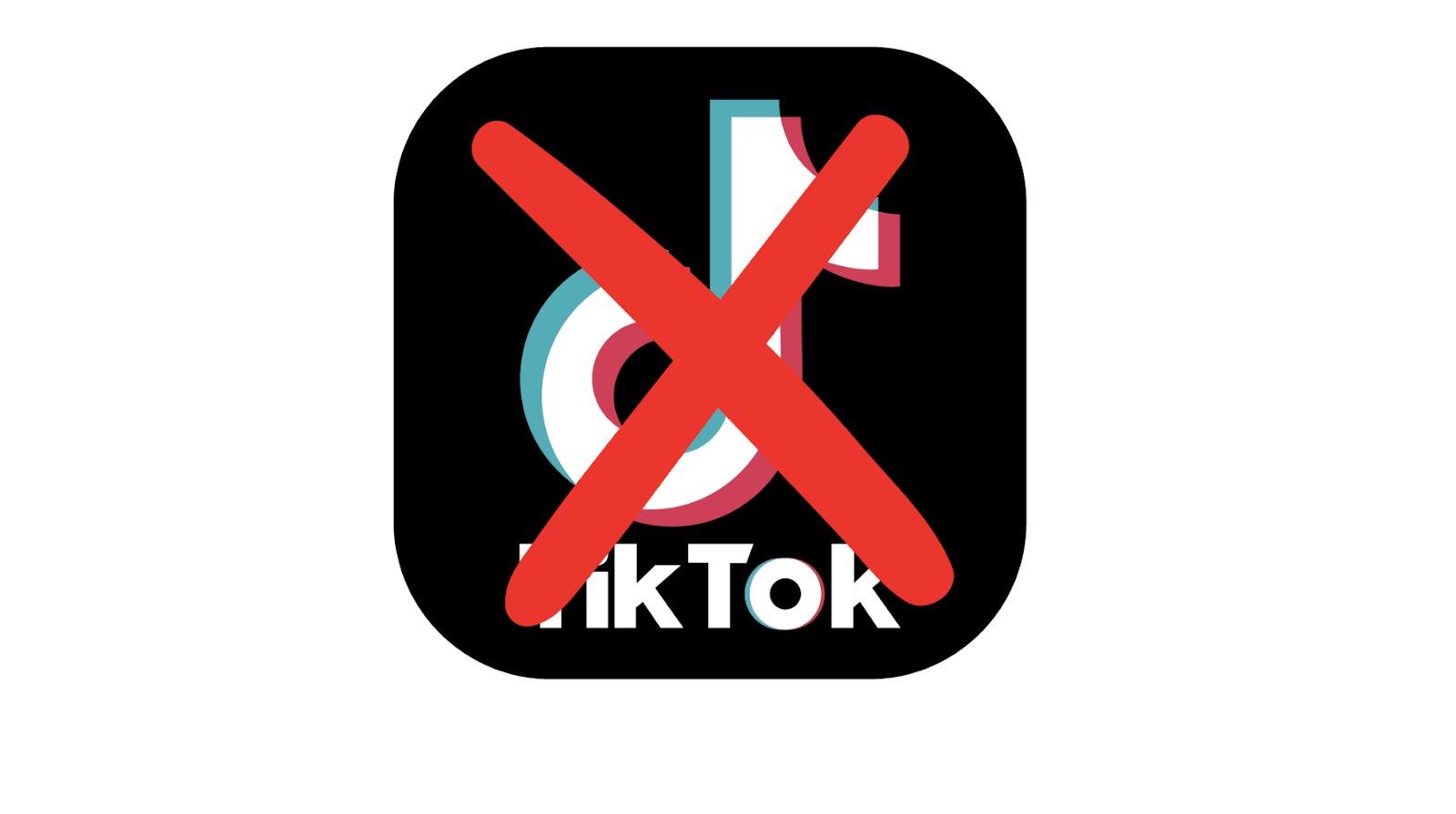 Surviving the TikTok Ban