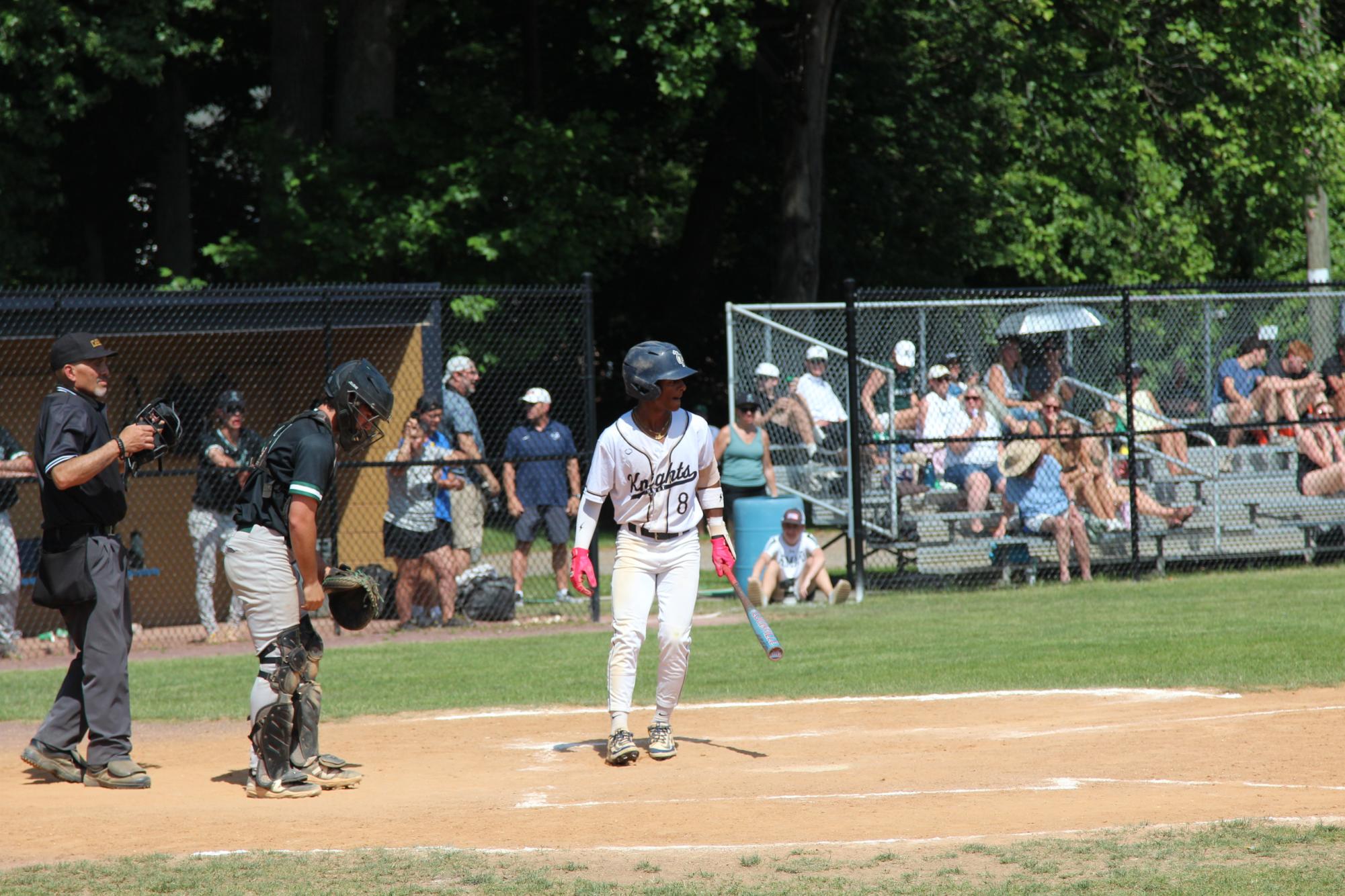 Boys Baseball Sectional Finals (Photos)